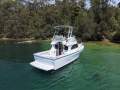 Black Watch 26