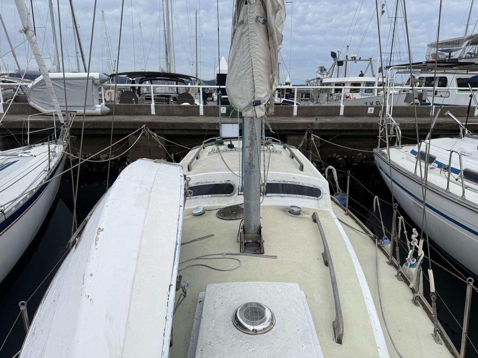 33 Huon Pine Yacht
