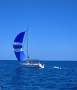 Sunbeam 39