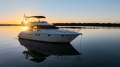 Princess P50