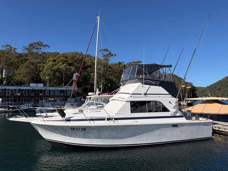 Bertram Caribbean 31 Flybridge