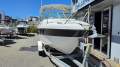 Atomix 600 HT With Mercury 150HP 4-Stroke (230 Hours)