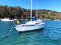 Triton 28