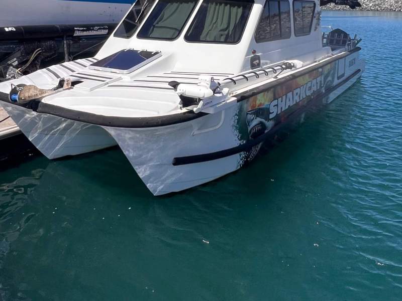 Shark Cat 2800