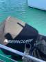 Shark Cat 2800