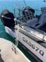 Shark Cat 2800
