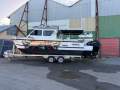 Shark Cat 2800