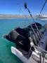 Shark Cat 2800