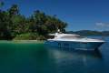 Pachoud 18m 'Turquoise'