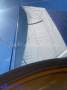 Bavaria Cruiser 43