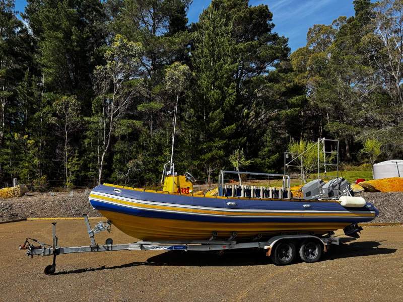 Crusader Rib