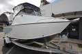 New Stacer 519 Sea Runner In-Stock
