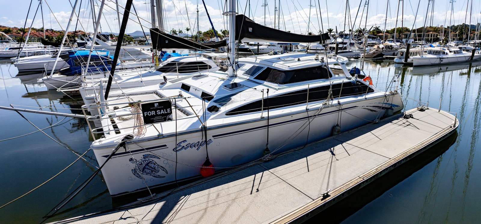 Perry 43