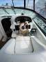 Sunrunner 3300