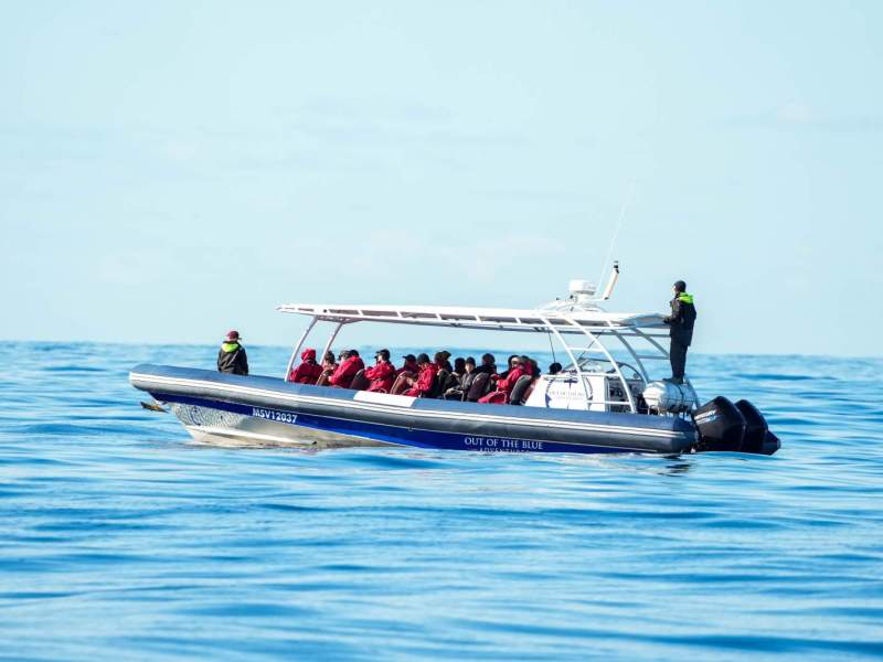 12 RIB OCEANERR