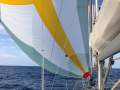 Bavaria Cruiser 37
