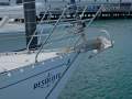 Beneteau First 375 ~ Exceptional Cruising Inventory