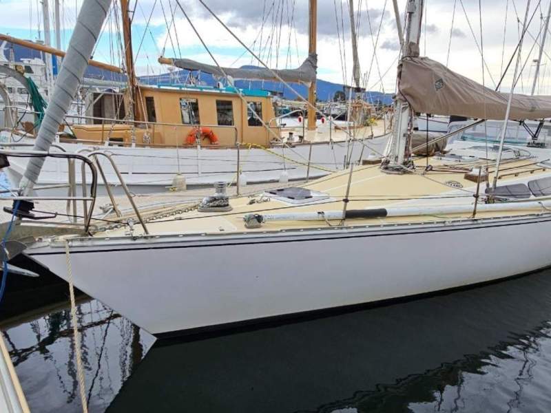 Adams 12