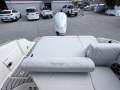 Sea Ray 230 SDX OB Bowrider