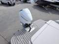 Sea Ray 230 SDX OB Bowrider