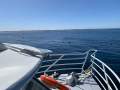 Bunbury Dive & Charter Business - Surveyed SeaQuest 33 + Going Concern