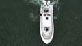 Sea Fox 328 Commander 2022