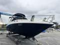 Sea Ray 335 Sundancer