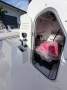 Boston Whaler 150 Montauk