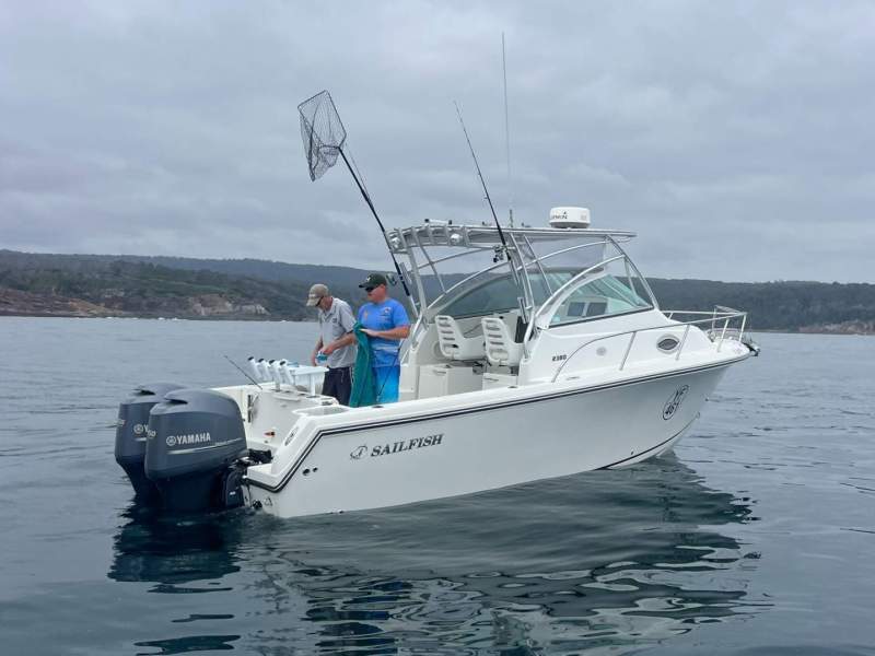 Sailfish 2380wac