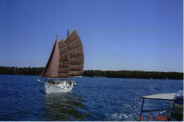 Colvin Gazelle Junk Rigged Schooner