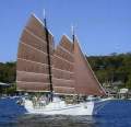 Colvin Gazelle Junk Rigged Schooner
