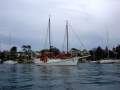 Colvin Gazelle Junk Rigged Schooner