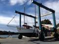 Colvin Gazelle Junk Rigged Schooner