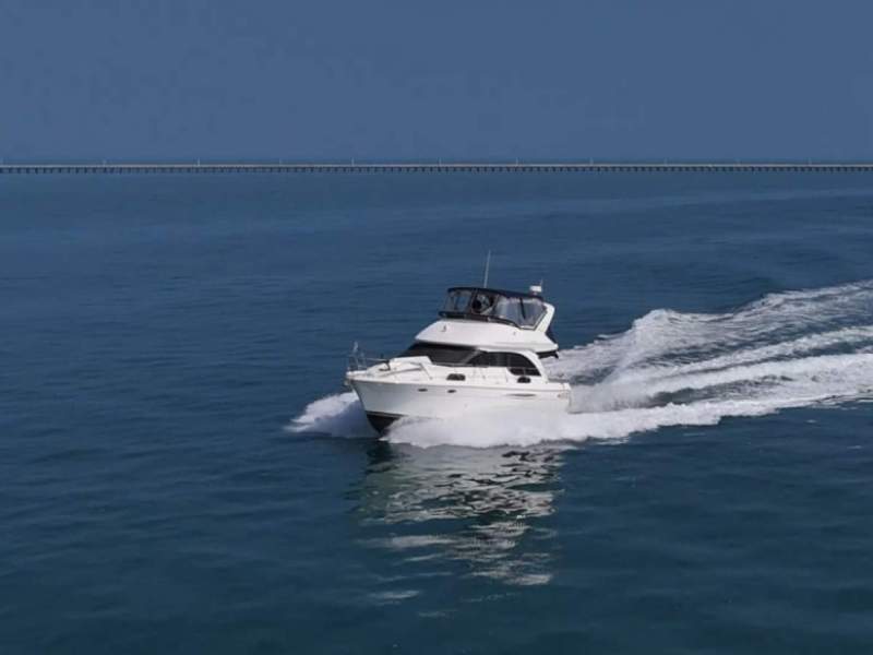 Meridian 381