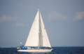 Adams 44 Racing/Cruiser