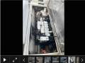 Cougar Cat 9.8 Wide Body