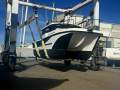 Cougar Cat 9.8 Wide Body