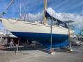 Koopmans 38