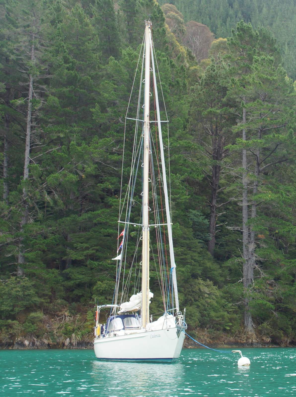 Koopmans 38