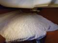Dufour Grand Large 365
