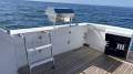 Bertram 35 Flybridge