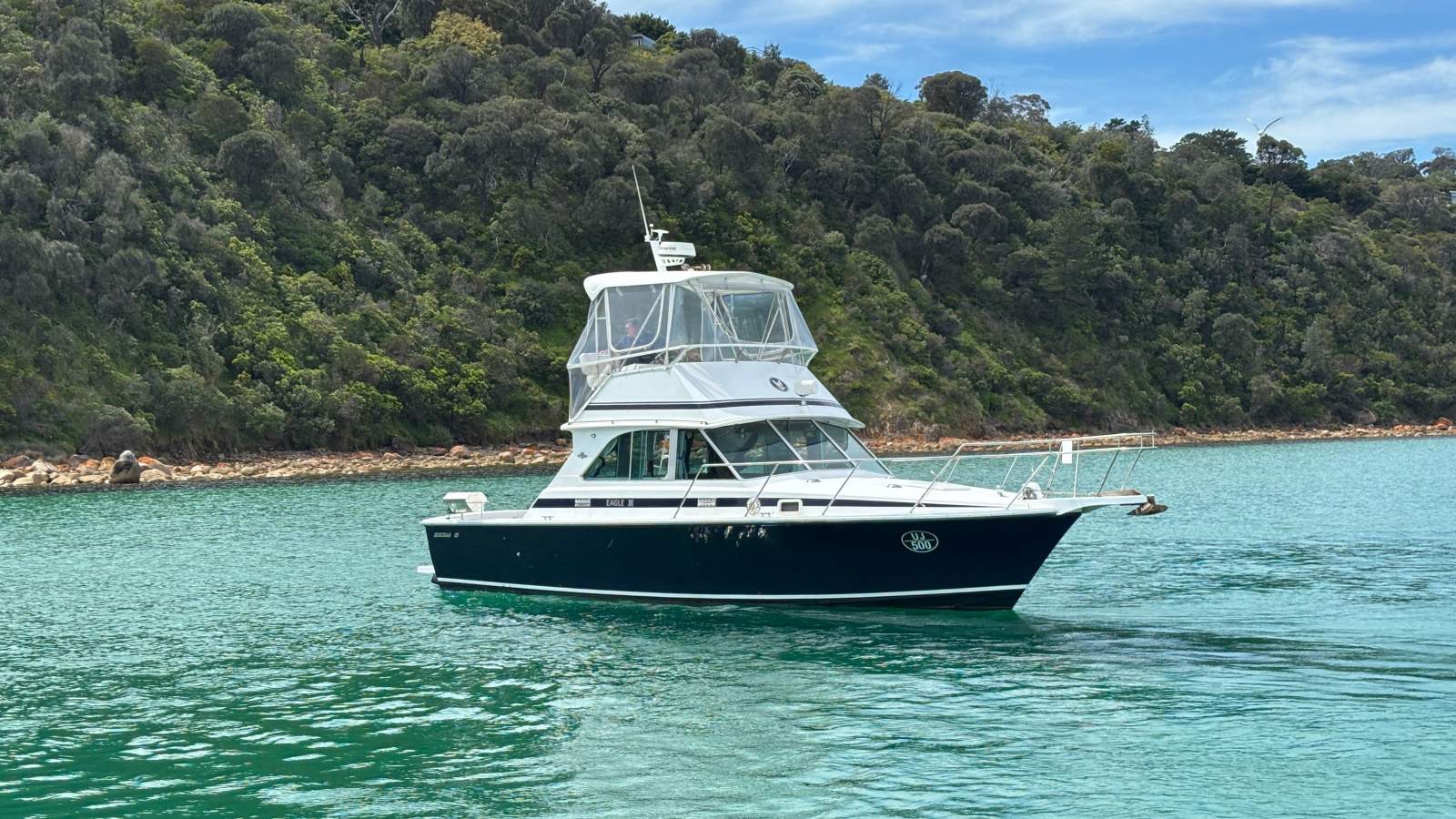 Bertram 35 Flybridge