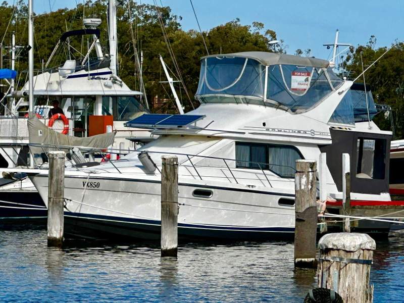 Bayliner 3388