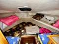 Bayliner 3388