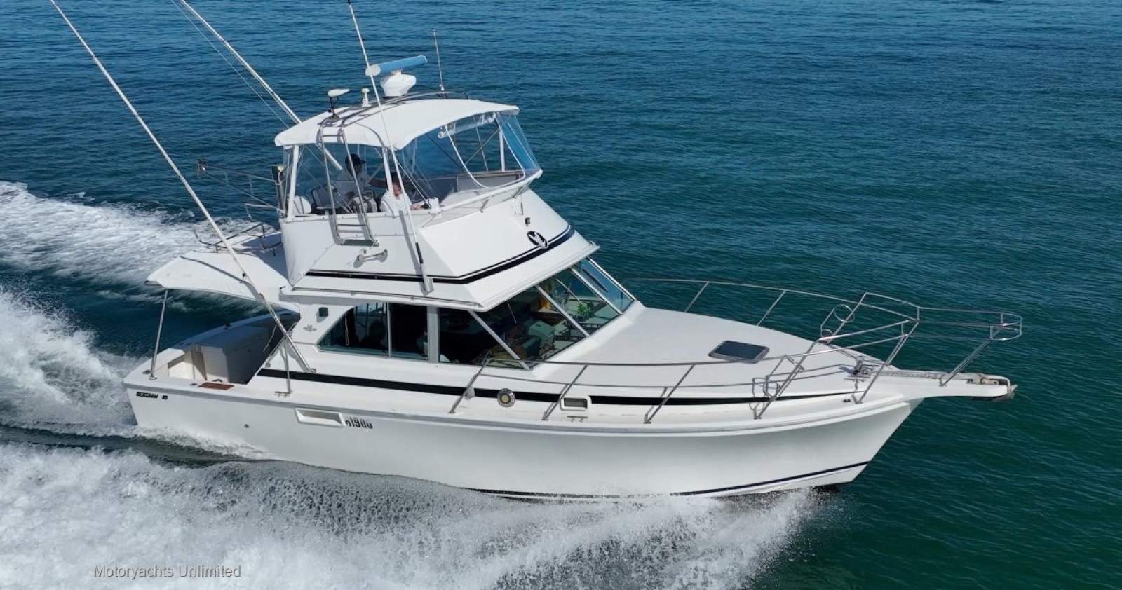 Bertram Caribbean 35