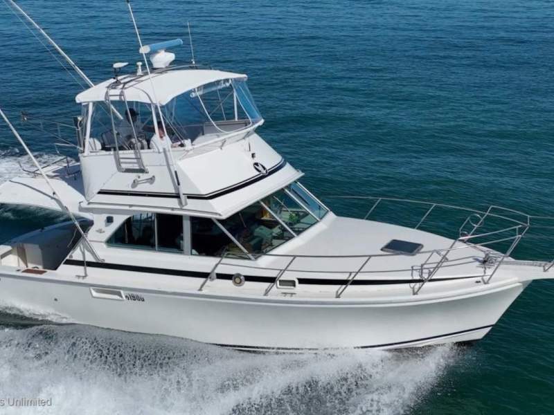 Bertram Caribbean 35