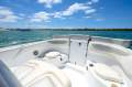 Baja 340 Sportfish Islander