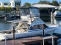 Caribbean 26 Bertram Flybridge