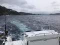Beneteau Barracuda 9 - Twin 200Hp Mercs Upgraded Long Range Fuel Tanks
