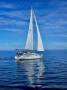 Catalina 320